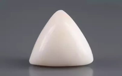 Italian White Coral - 12.88 Carat Limited Quality TWC-22089