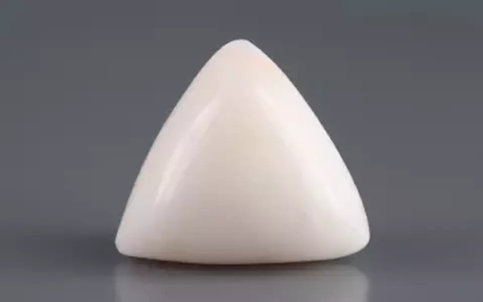 Italian White Coral - 12.88 Carat Limited Quality TWC-22089