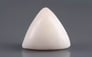 Italian White Coral - 12.88 Carat Limited Quality TWC-22089