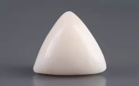 Italian White Coral - 12.88 Carat Limited Quality TWC-22089