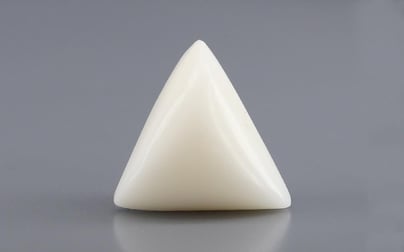 Italian White Coral - 12.88 Carat Rare Quality TWC-22100