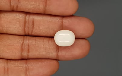 Italian White Coral - 12.9 Carat Prime Quality WC-7612