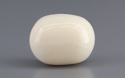 Italian White Coral - 12.9 Carat Prime Quality WC-7612
