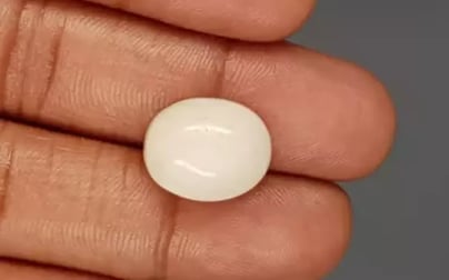 Italian White Coral - 13.04 Carat Prime Quality WC-7606