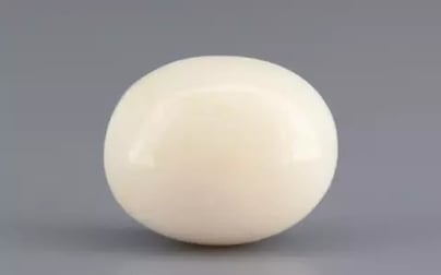 Italian White Coral - 13.04 Carat Prime Quality WC-7606