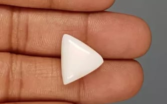 Italian White Coral - 14.62 Carat Limited Quality TWC-22088