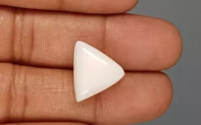 Italian White Coral - 14.62 Carat Limited Quality TWC-22088