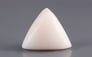 Italian White Coral - 14.62 Carat Limited Quality TWC-22088