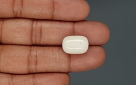 Italian White Coral - 15.25 Carat Prime Quality WC-7608