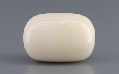 Italian White Coral - 15.25 Carat Prime Quality WC-7608