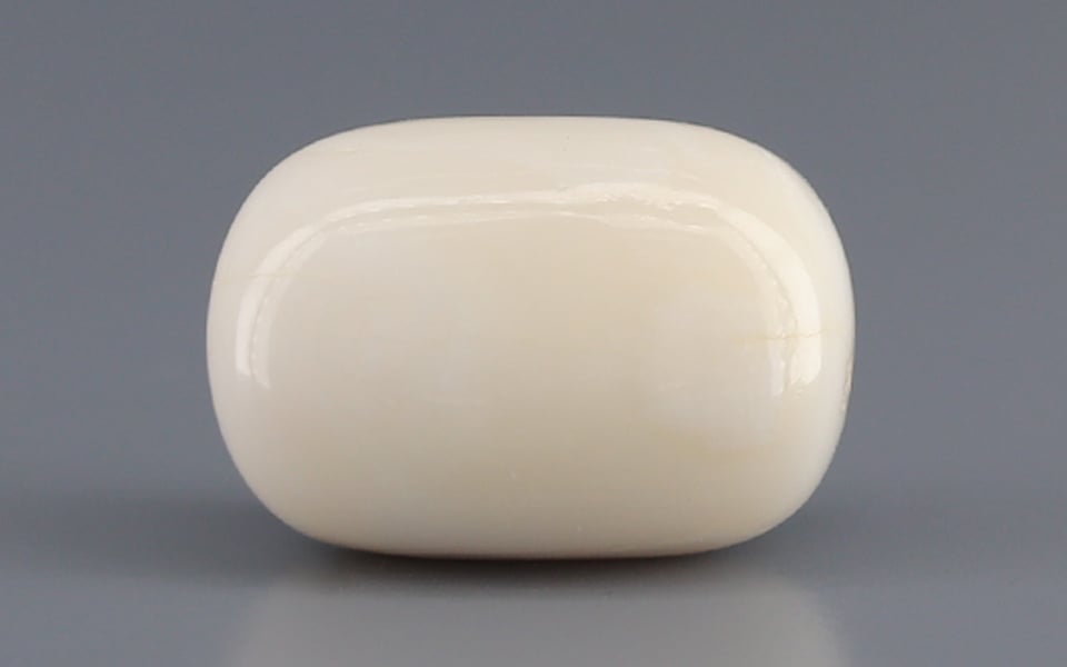 Italian White Coral - 15.25 Carat Prime Quality WC-7608