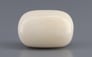 Italian White Coral - 15.25 Carat Prime Quality WC-7608