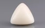 Italian White Coral - 15.55 Carat Limited Quality TWC-22060