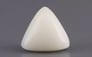 Italian White Coral - 2.48 Carat Limited Quality TWC-22016