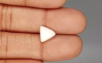 Italian White Coral - 2.62 Carat Limited Quality TWC-22043