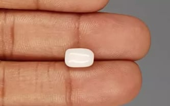 Italian  White Coral - 2.75 Carat Prime Quality WC-7603