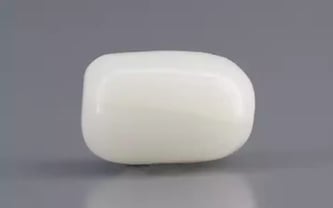 Italian  White Coral - 2.75 Carat Prime Quality WC-7603