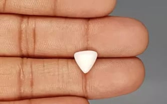 Italian White Coral - 2.77 Carat Limited Quality TWC-22037