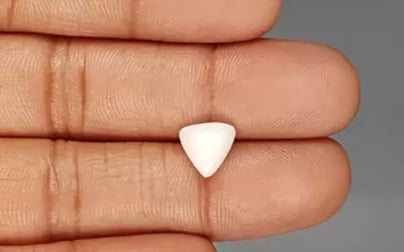 Italian White Coral - 2.77 Carat Limited Quality TWC-22037