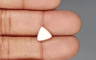 Italian White Coral - 2.82 Carat Limited Quality TWC-22029