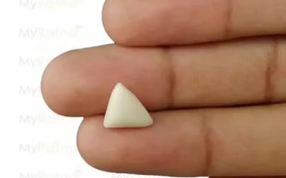 Italian White Coral - 2.99 Carat Prime Quality TWC-22001