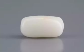 Italian White Coral - 3.01 Carat Prime Quality WC-7604