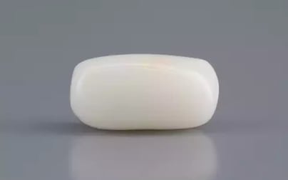 Italian White Coral - 3.01 Carat Prime Quality WC-7604