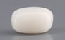 Italian White Coral - 3.09 Carat Prime Quality WC-7637