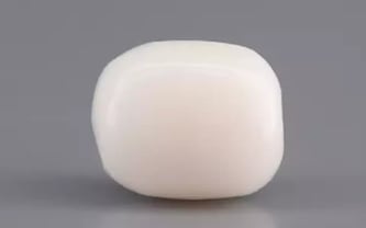  Italian White Coral - 3.13 Carat Prime Quality WC-7591