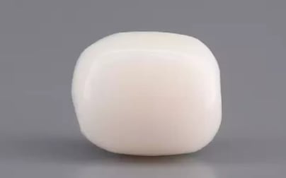  Italian White Coral - 3.13 Carat Prime Quality WC-7591