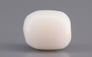  Italian White Coral - 3.13 Carat Prime Quality WC-7591
