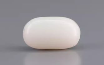 Italian  White Coral - 3.17 Carat Prime Quality WC-7598