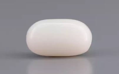 Italian  White Coral - 3.17 Carat Prime Quality WC-7598