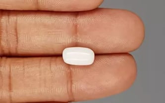 Italian  White Coral - 3.27 Carat Prime Quality WC-7589