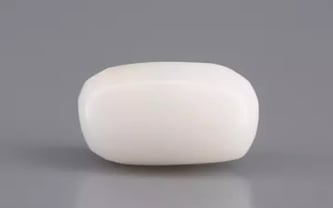 Italian  White Coral - 3.27 Carat Prime Quality WC-7589