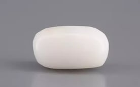 Italian  White Coral - 3.27 Carat Prime Quality WC-7589