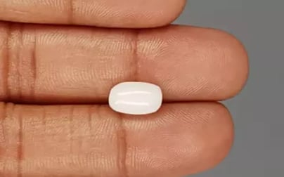  Italian White Coral - 3.49 Carat Prime Quality WC-7587