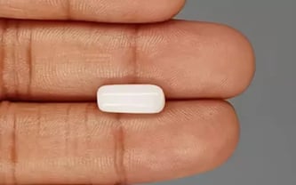 Italian  White Coral - 3.5 Carat Prime Quality WC-7588