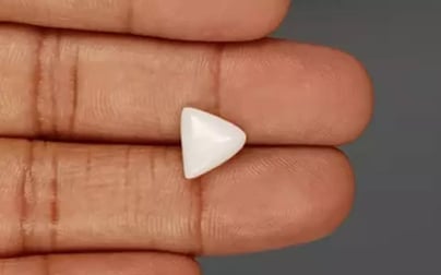 Italian White Coral - 3.53 Carat Limited Quality TWC-22012