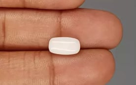 Italian  White Coral - 3.59 Carat Prime Quality WC-7600