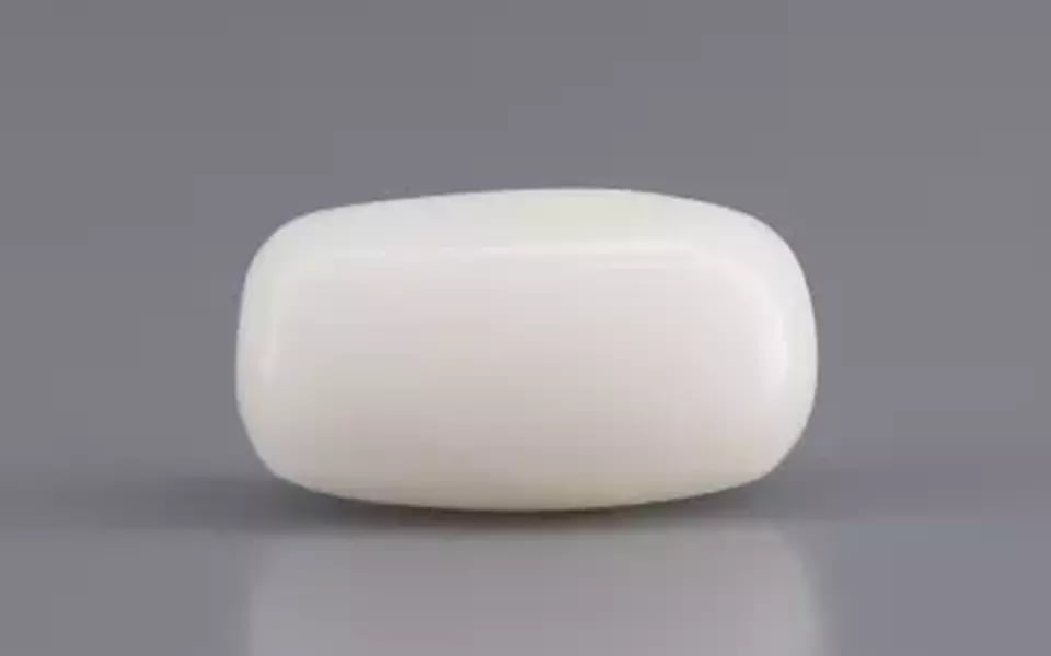 Italian  White Coral - 3.59 Carat Prime Quality WC-7600