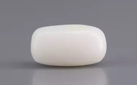 Italian  White Coral - 3.59 Carat Prime Quality WC-7600