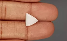 Italian White Coral - 3.6 Carat Limited Quality TWC-22007