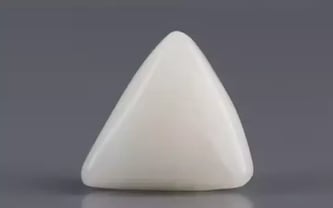 Italian White Coral - 3.6 Carat Limited Quality TWC-22007