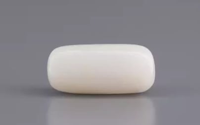  Italian White Coral - 3.69 Carat Prime Quality WC-7599