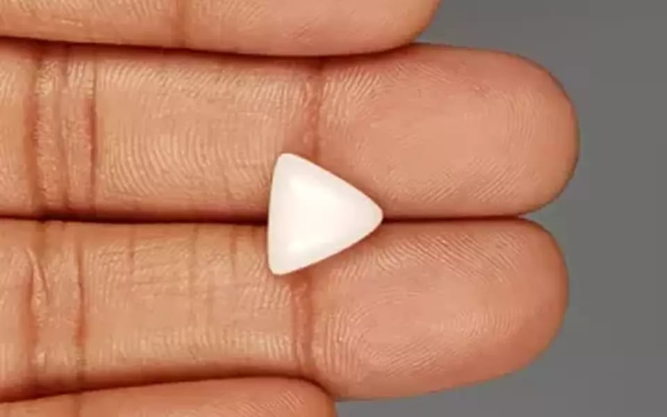 Italian White Coral - 3.87 Carat Limited Quality TWC-22018