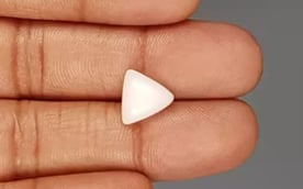 Italian White Coral - 3.87 Carat Limited Quality TWC-22018