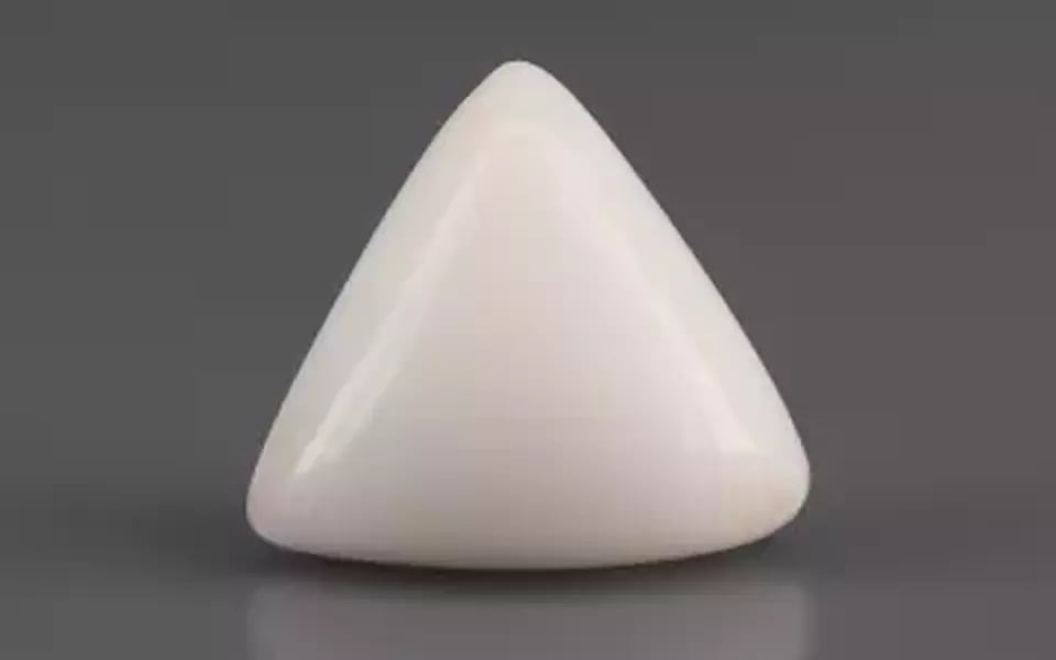 Italian White Coral - 3.87 Carat Limited Quality TWC-22018