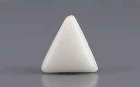 Italian White Coral - 3.88 Carat Limited Quality TWC-22009