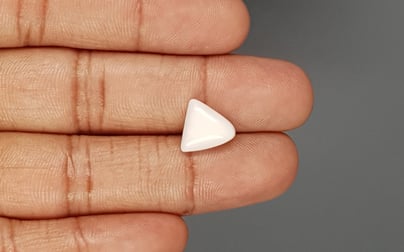 Italian White Coral - 4.07 Carat Limited Quality TWC-22005